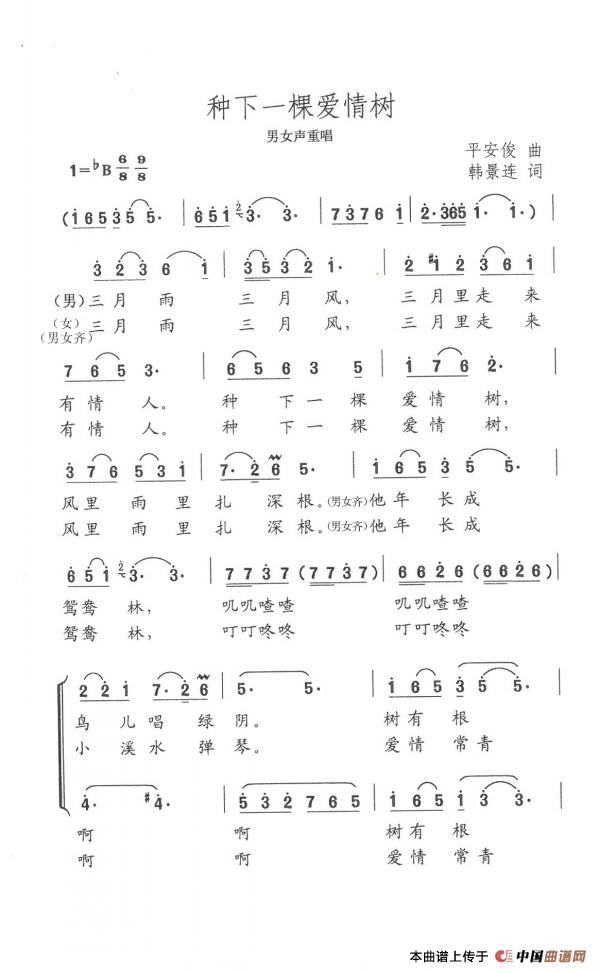 种下一棵爱情树(韩景连词 平安俊曲)(1)_原文件名:1.jpg