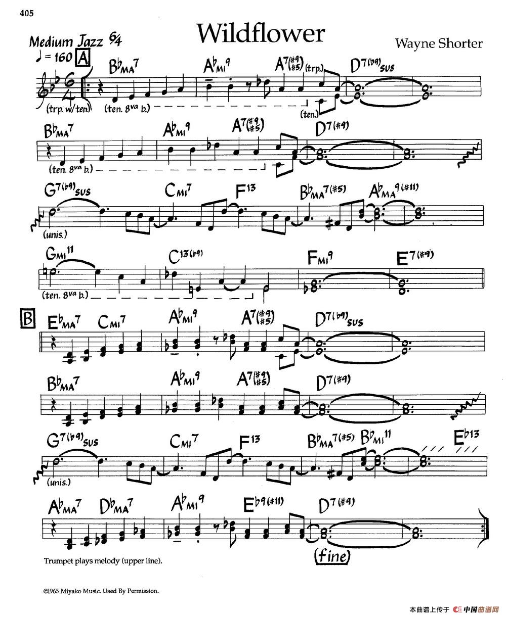Wildflower(爵士钢琴曲)(1)_原文件名:图片21.jpg