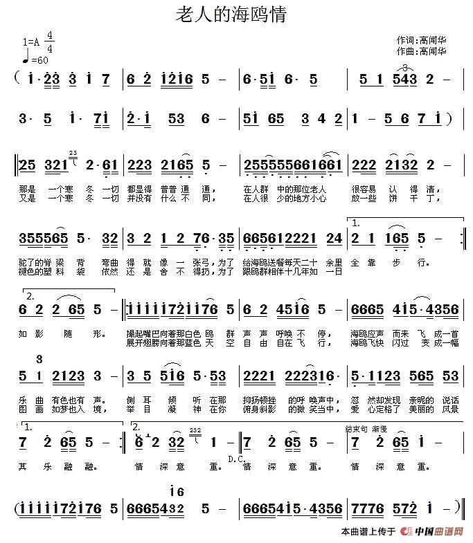 老人的海鸥情(1)_原文件名:1.jpg