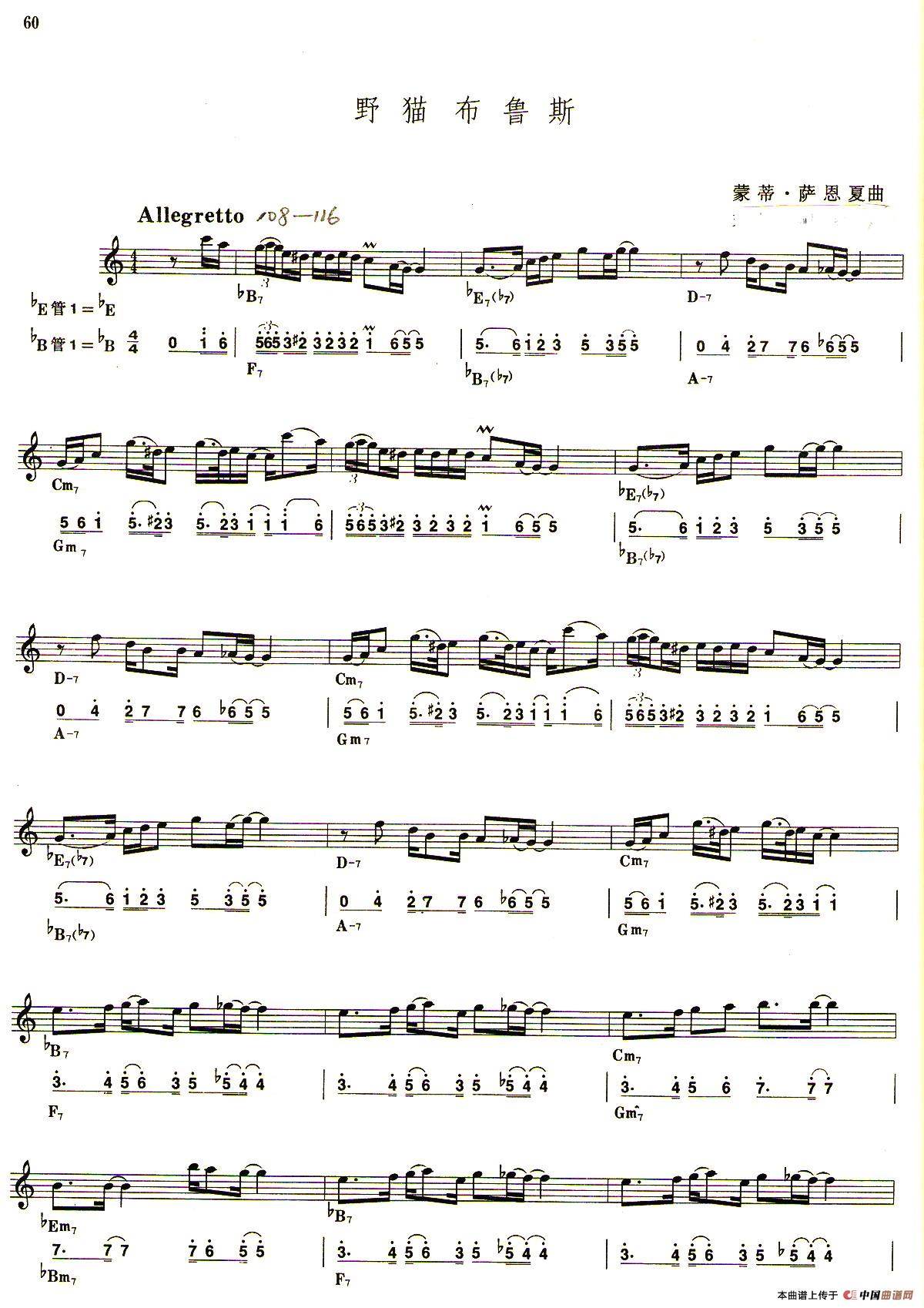 野猫布鲁斯（线简谱对照版）(1)_原文件名：图像.jpg