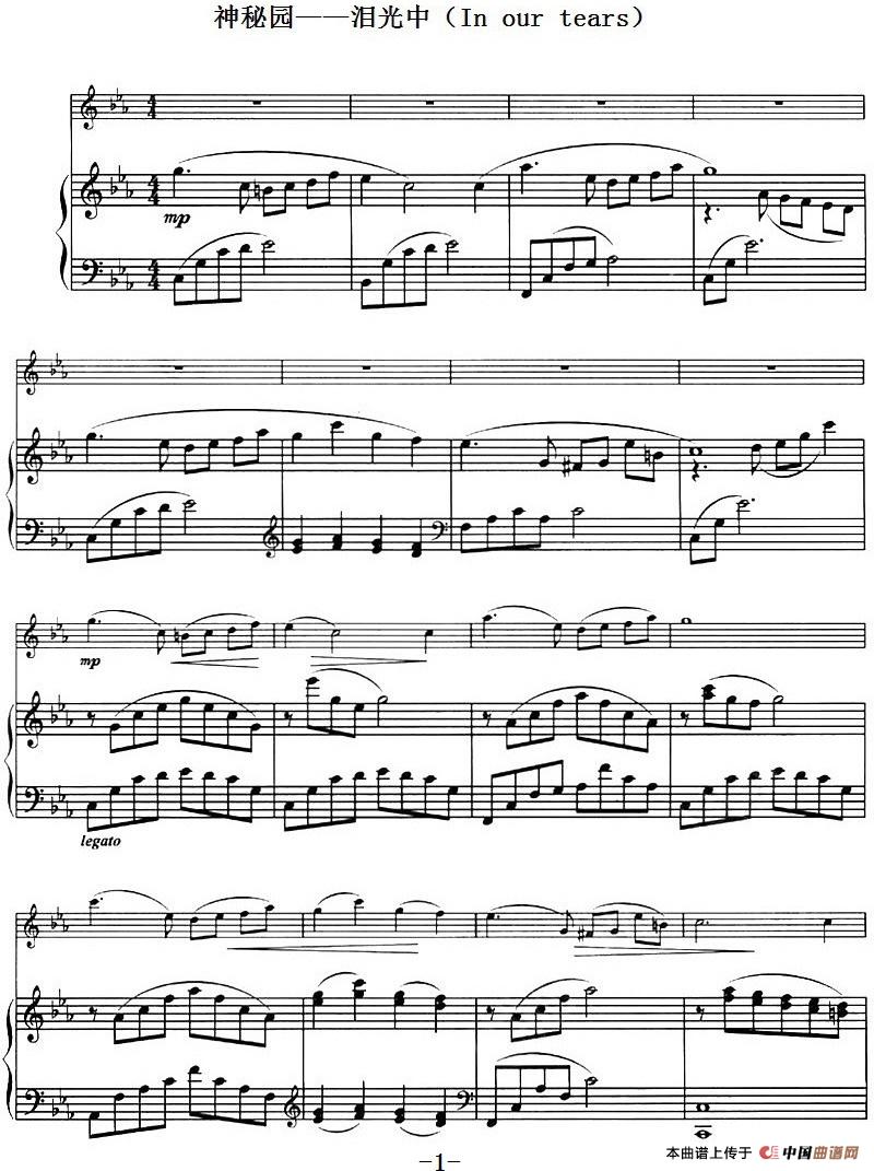 神秘园——泪光中(In our tears)(1)_原文件名:神秘园——泪光中(In our tears)-.jpg