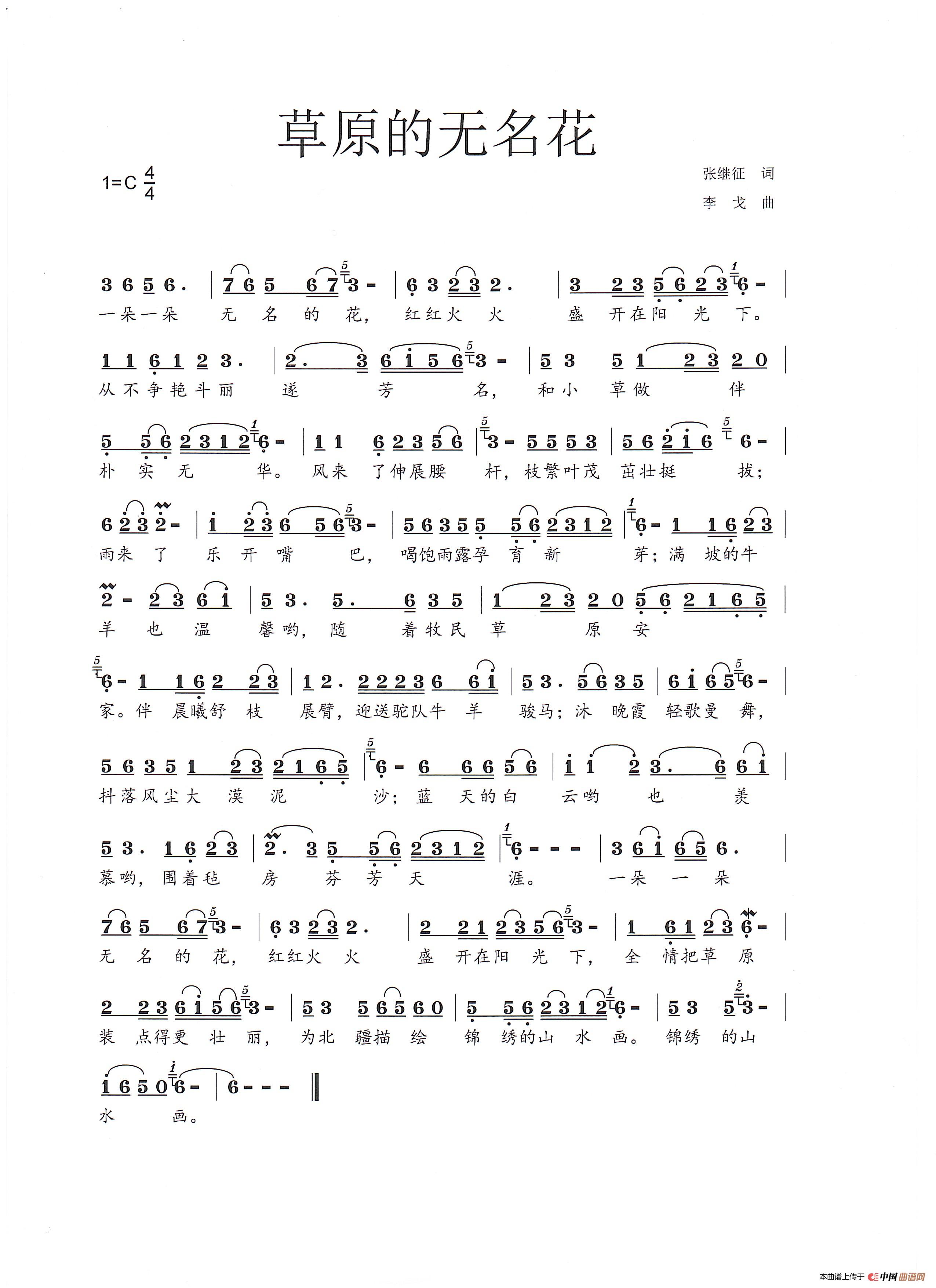 草原的无名花(1)_原文件名：2019-12-12_003 草原的无名花.jpg