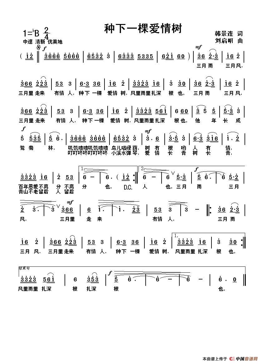 种下一棵爱情树（韩景连词 刘启明曲）(1)_原文件名：种下一棵爱情树jpeg.JPG